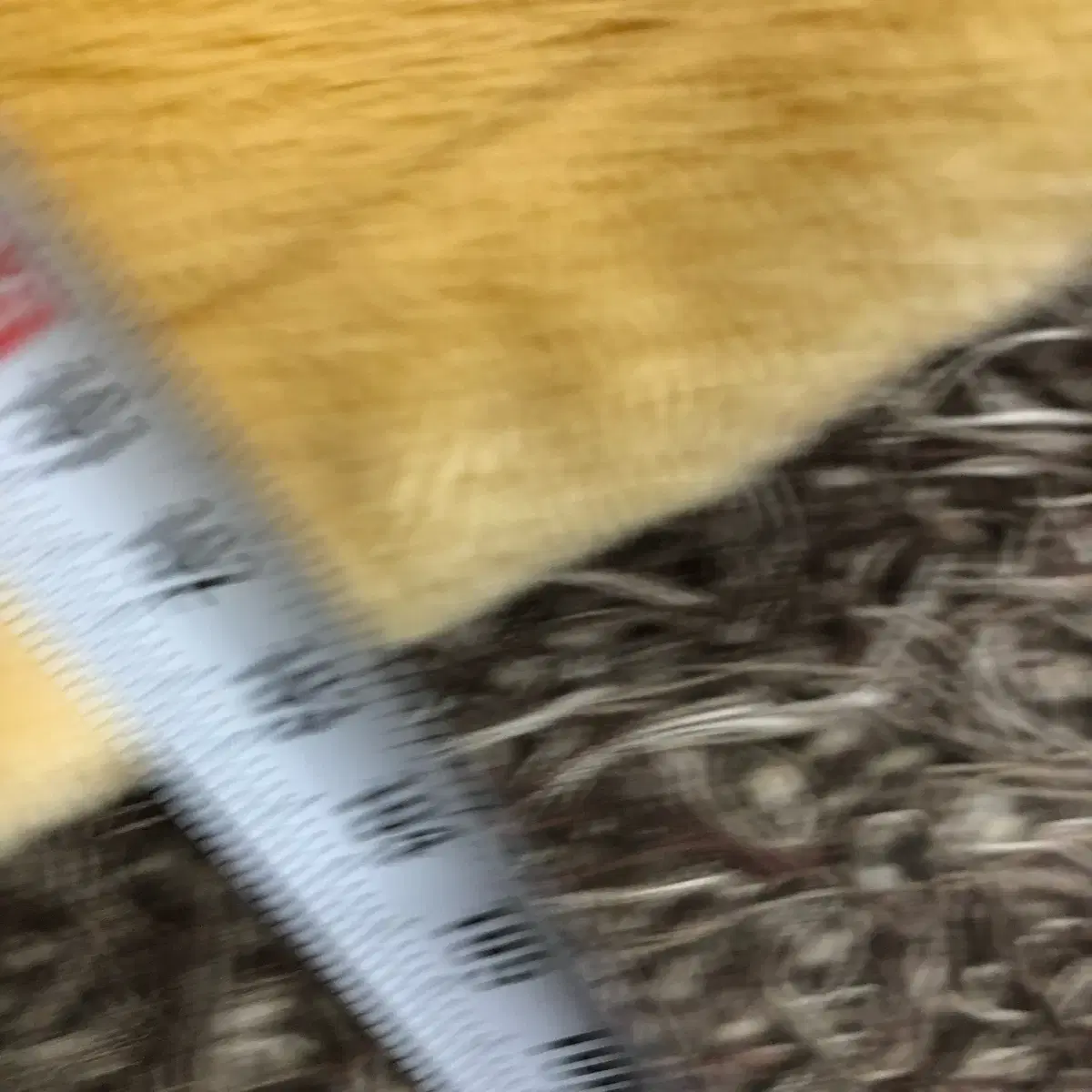 thumbnail-7